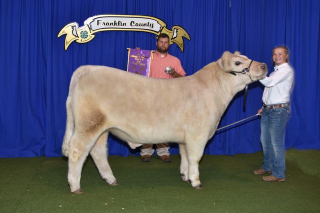 Grand Champion Market Steer exhibited by Ginger Mitchell
